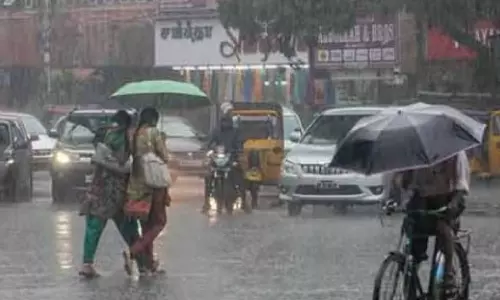 நெல்லை, தென்காசி, தூத்துக்குடி மாவட்டங்களில் பரவலாக மழை