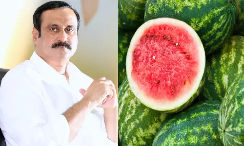 தர்பூசணி பழம் குறித்து மக்களிடம் நிலவும் அச்சத்தைப் போக்க வேண்டும்- அன்புமணி ராமதாஸ்