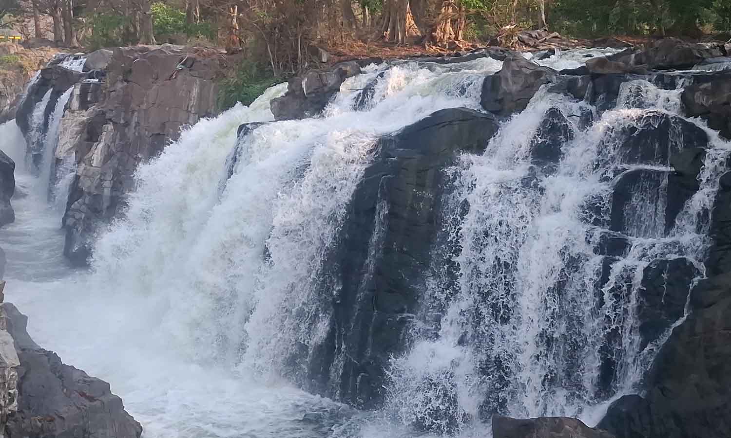 ஒகேனக்கல்லுக்கு நீர்வரத்து 1000 கனஅடியாக சரிவு ஒகேனக்கல்லுக்கு நீர்வரத்து 1000 கனஅடியாக சரிவு