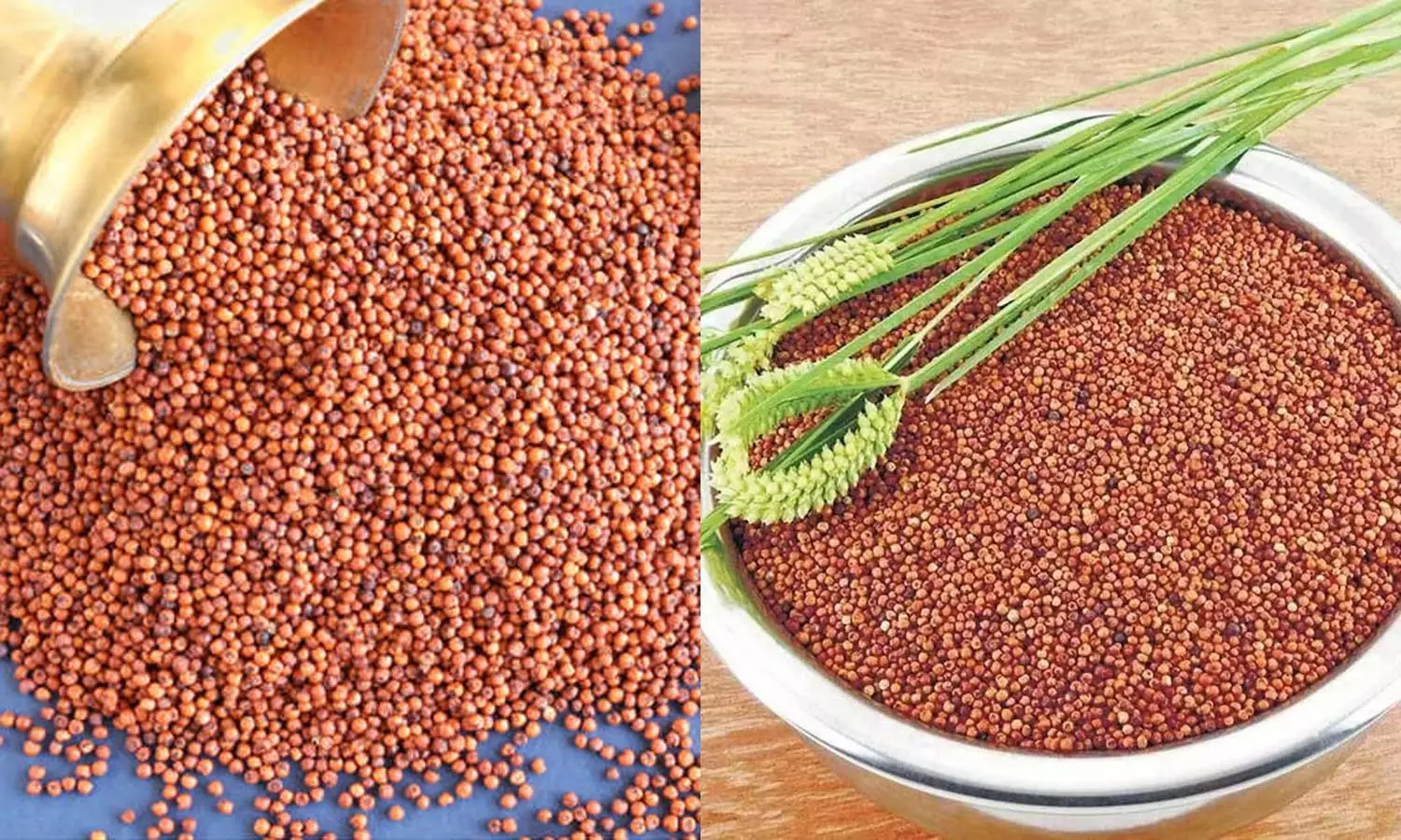 ஆரோக்கியம் தரும் கோடைகால உணவுகள் - கேழ்வரகு தரும் உடல் வலிமை ஆரோக்கியம் தரும் கோடைகால உணவுகள் - கேழ்வரகு தரும் உடல் வலிமை