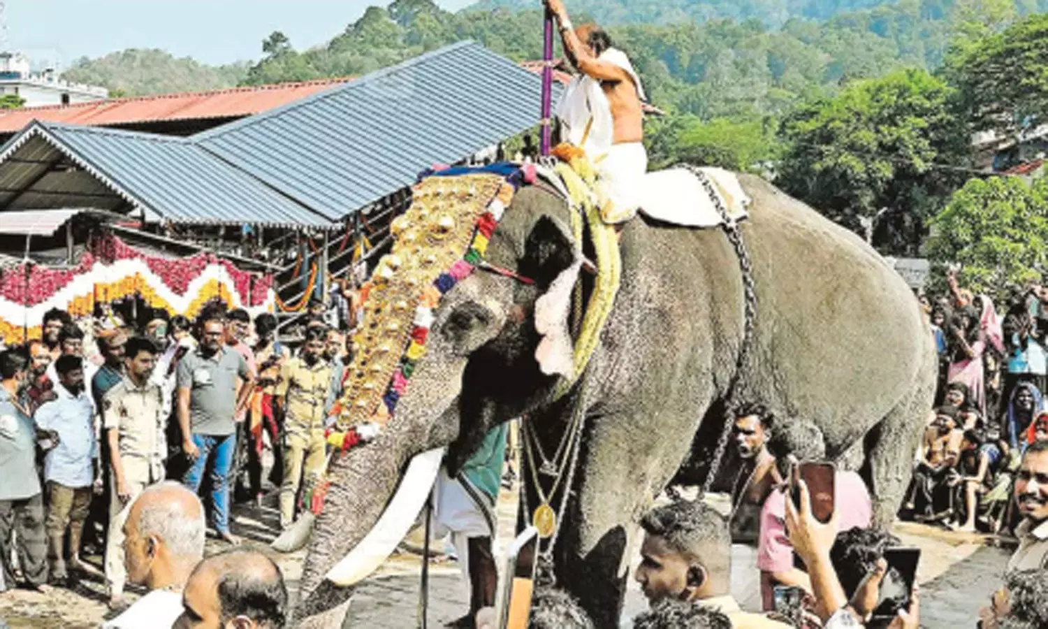 சபரிமலையில் ஆராட்டு ஊர்வலத்தில் 2 யானைகள் பயன்படுத்தப்படும்- திருவிதாங்கூர் தேவஸ்தானம்