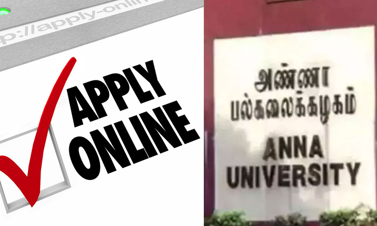 அண்ணா பல்கலைக்கழகத்துக்குட்பட்ட கல்லூரிகளில் சேர இணையதளத்தில் விண்ணப்பிக்கலாம்
