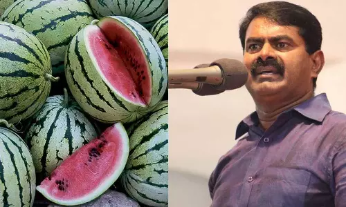 பொய்ப்பரப்புரையால் பெரும் நட்டம்: தர்பூசணி விவசாயிகளுக்கு அரசு இழப்பீடு வழங்க வேண்டும் - சீமான்