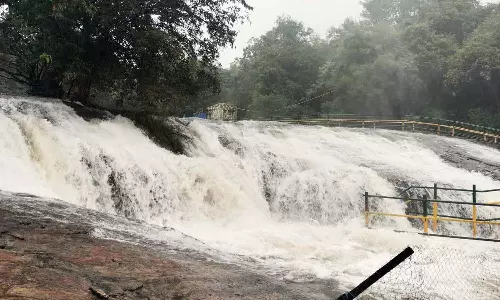 தேனி மாவட்டத்தில் கொட்டித்தீர்த்த மழை- அருவிகளில் வெள்ளப்பெருக்கால் சுற்றுலா பயணிகளுக்கு தடை