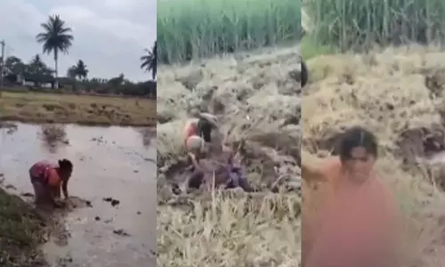 வயக்காட்டில் WWE சண்டை போட்ட மாமியார் - மருமகள்...