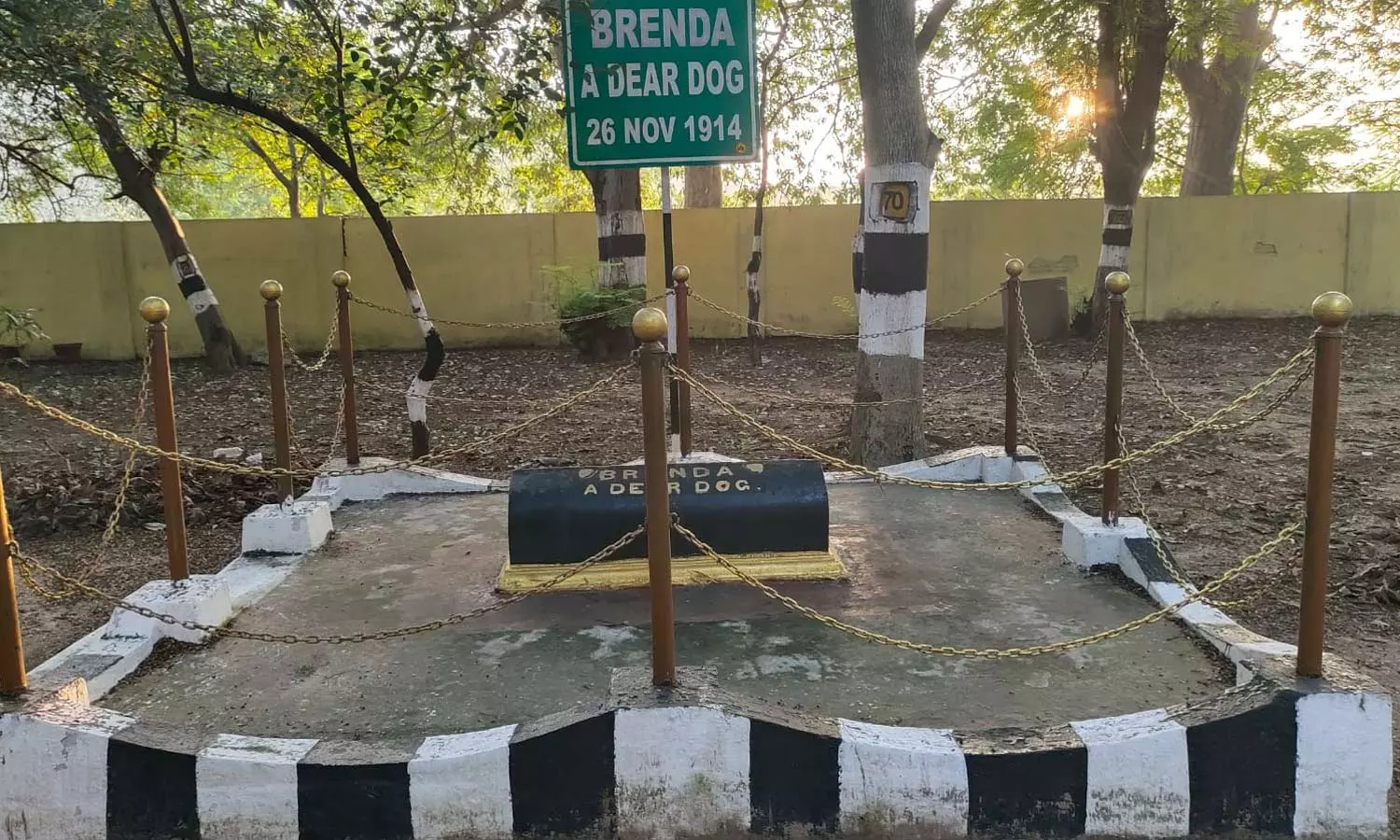 செஞ்சியில் வளர்ப்பு நாய்க்கு நினைவிடம் கட்டி வைத்துள்ள பிரெஞ்சுக்காரர்கள்