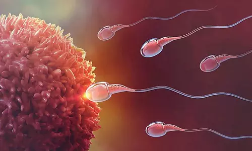 மகளிர் மருத்துவம் - சினைப்பையில் முட்டைகளை அதிகரித்து குழந்தை பாக்கியம் பெறலாம்