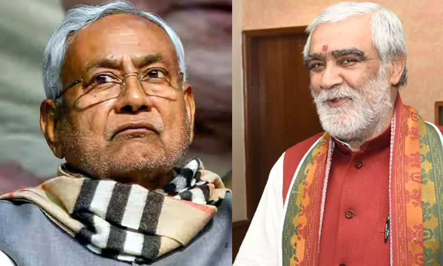 நிதிஷ் குமாரை துணை பிரதமராக்க வேண்டும்: பாஜக மூத்த தலைவர் சொல்கிறார் நிதிஷ் குமாரை துணை பிரதமராக்க வேண்டும்: பாஜக மூத்த தலைவர் சொல்கிறார்