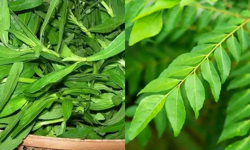 சமையலறையில் இருக்குது மருந்து! கண்களை காக்க எளிய வழி