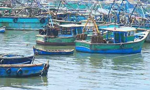 மீன்கள் இனப்பெருக்கத்துக்காக வருகிற 15-ந்தேதி முதல் மீன்பிடி தடைக்காலம் தொடங்குகிறது