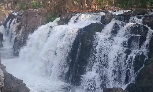 ஒகேனக்கல்லுக்கு நீர்வரத்து ஆயிரம் கனஅடியாக சரிவு