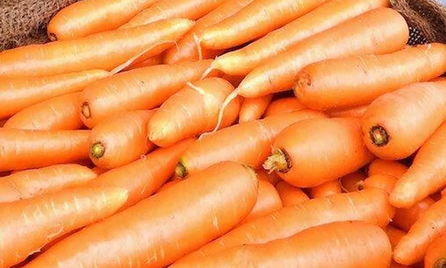 நீலகிரியில் கேரட் விலை கடும் வீழ்ச்சி- கிலோ ரூ.20க்கு விற்பனையாகிறது