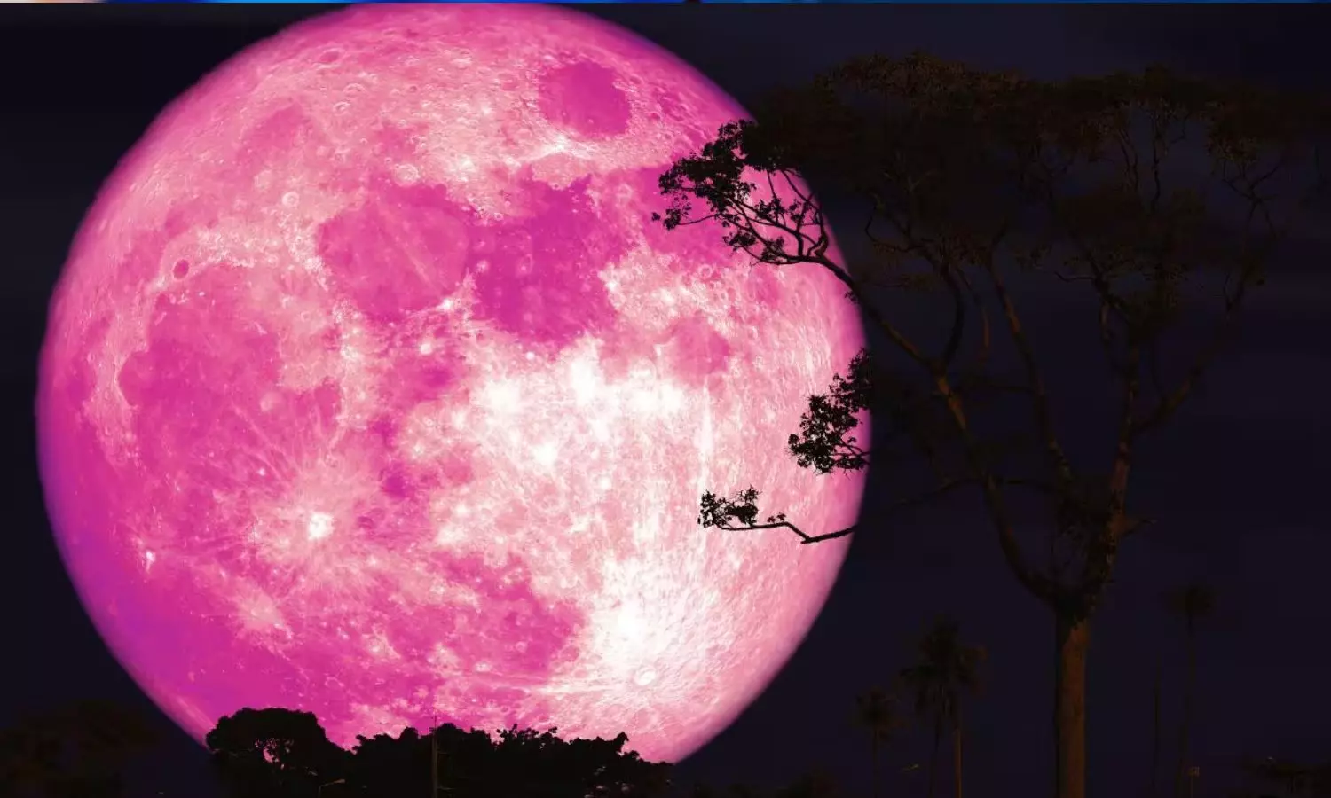 Pink Moon: நாளை வானில் தோன்றும் அதிசயம்.. வீட்டில் இருந்தே பார்க்கலாம்!
