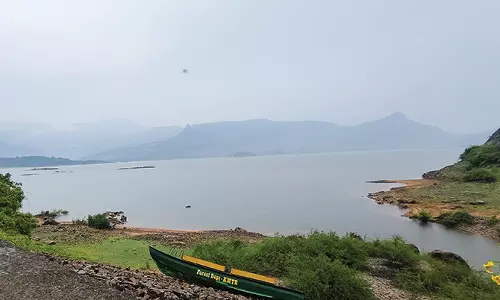 நெல்லை, தென்காசி மாவட்டங்களில் அதிகாலை முதல் பரவலாக மழை