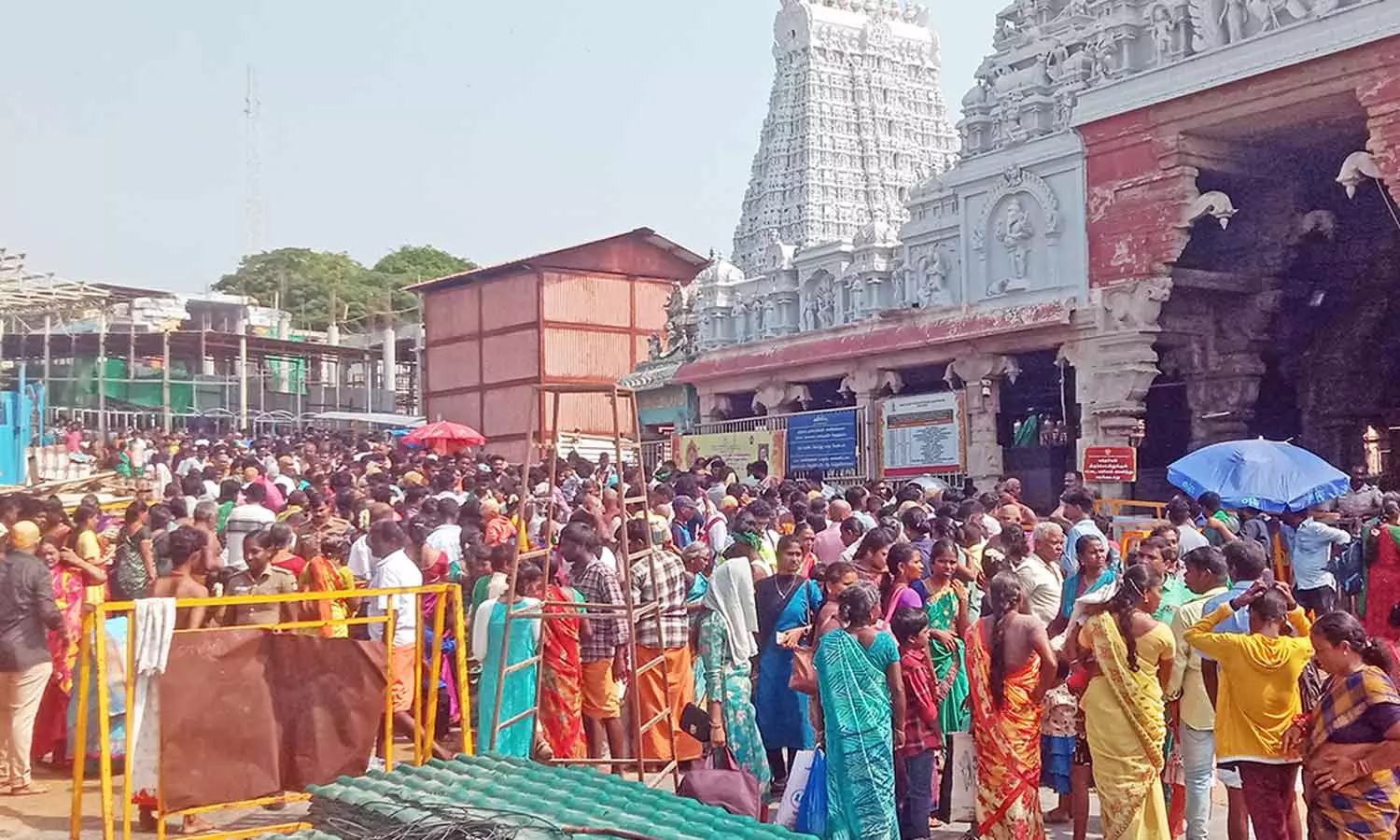 விடுமுறை நாளையொட்டி திருச்செந்தூர் கோவிலில் அலைமோதிய பக்தர்கள் கூட்டம் விடுமுறை நாளையொட்டி திருச்செந்தூர் கோவிலில் அலைமோதிய பக்தர்கள் கூட்டம்