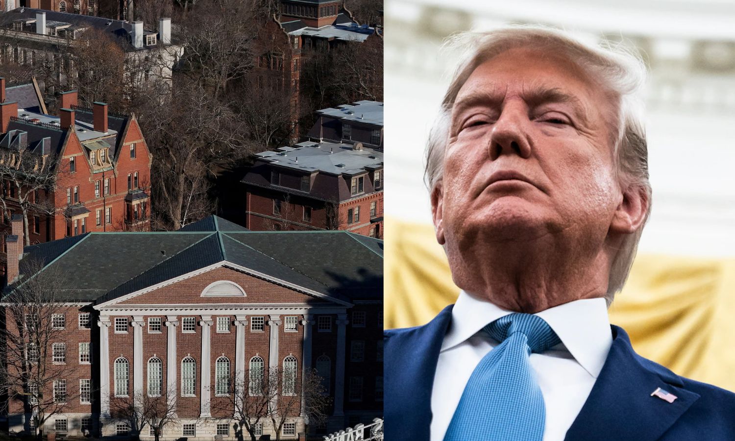 அடிபணிய மறுத்த Harvard பல்கலைக்கழகம்.. ரூ.18 ஆயிரம் கோடி நிதியை அதிரடியாக நிறுத்திய டிரம்ப்!