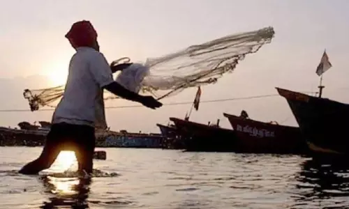 தமிழகத்தில் மீன்பிடி தடைக்காலம் தொடங்கியது: 2 மாதங்களுக்கு மீன் விலை அதிகமாக இருக்கும்