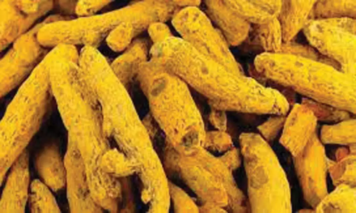 ஈரோட்டில் மஞ்சள் குவிண்டால் ரூ.15 ஆயிரம் தாண்டியது- விவசாயிகள் மகிழ்ச்சி