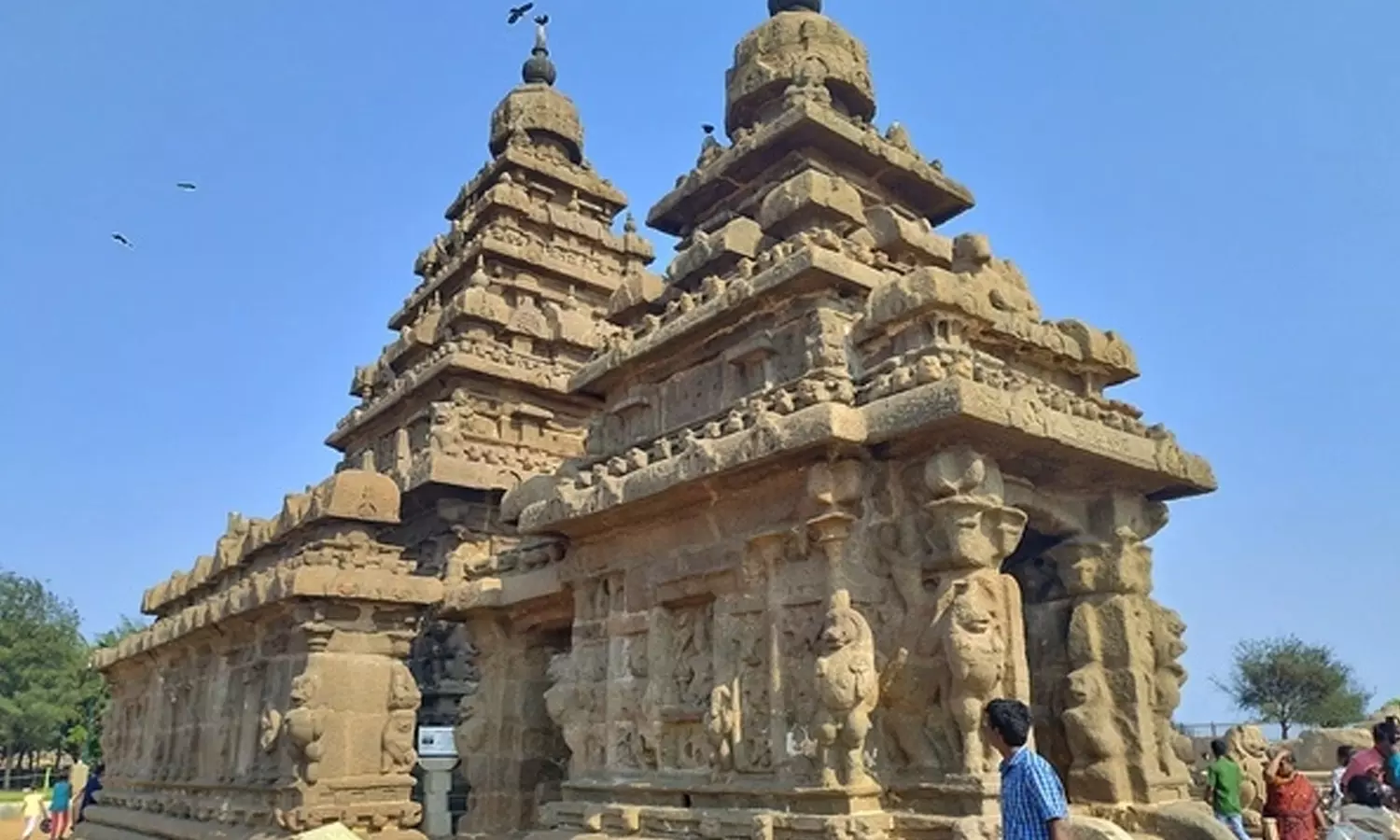 உலக பாரம்பரிய தினம்- மாமல்லபுரத்தில் நாளை அனுமதி இலவசம் உலக பாரம்பரிய தினம்- மாமல்லபுரத்தில் நாளை அனுமதி இலவசம்