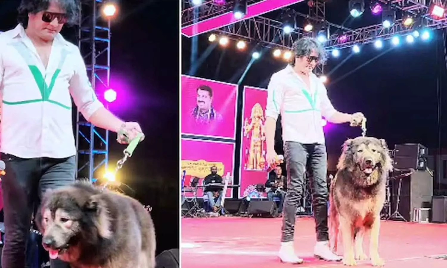 ரூ.50 கோடிக்கு நாய் வாங்கினாரா தொழில் அதிபர்? அமலாக்கத்துறை சோதனையில் வெளியான அதிர்ச்சி தகவல் ரூ.50 கோடிக்கு நாய் வாங்கினாரா தொழில் அதிபர்? அமலாக்கத்துறை சோதனையில் வெளியான அதிர்ச்சி தகவல்