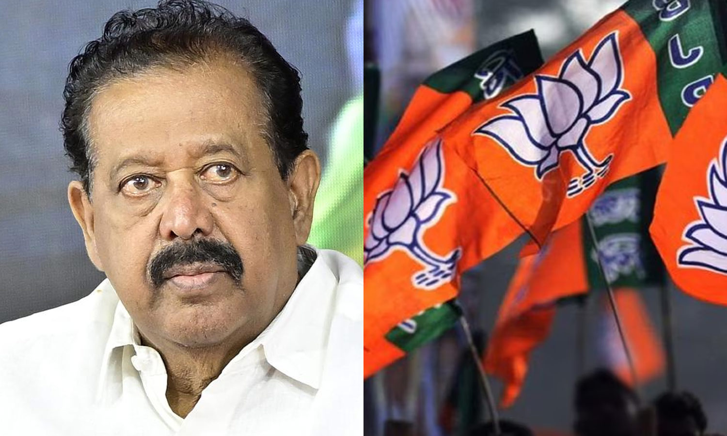 அமைச்சர் பொன்முடிக்கு எதிராக நாடு முழுவதும் புகார் அளிக்க பா.ஜ.க. திட்டம்