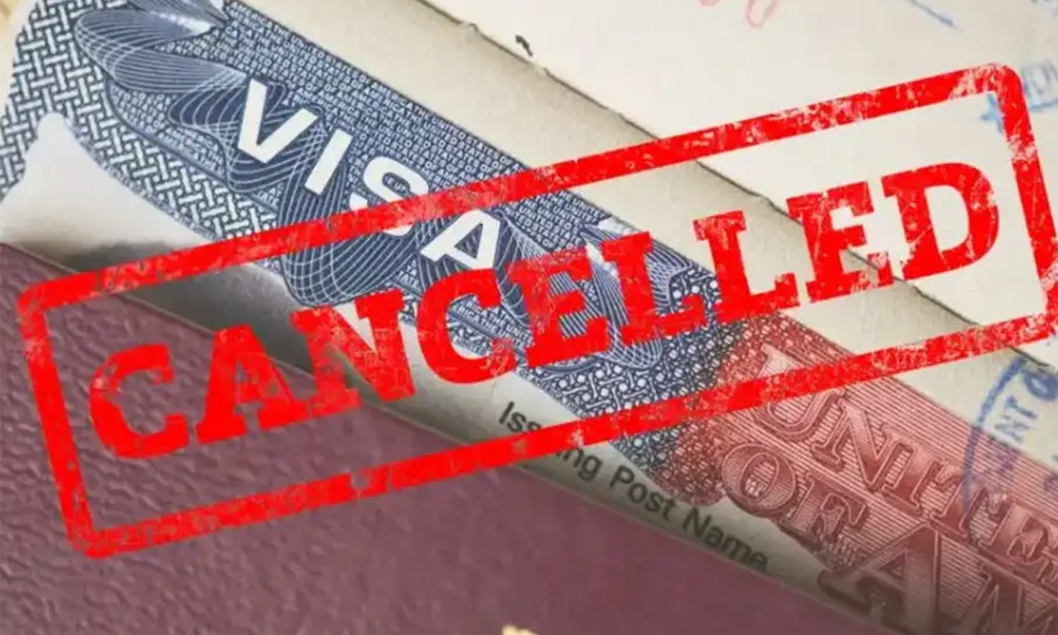 அமெரிக்காவில் விசா ரத்து செய்யப்பட்டவர்களில் 50 சதவீதம் பேர் இந்திய மாணவர்கள்