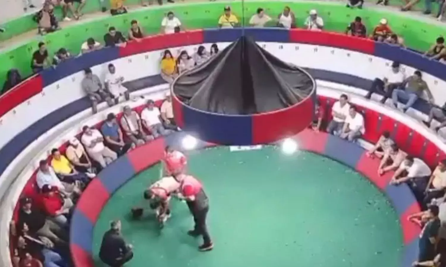 சேவல் சண்டை அரங்கில் புகுந்து துப்பாக்கிச்சூடு நடத்திய கும்பல் - 12 பேர் பலி - பரபரப்பு வீடியோ