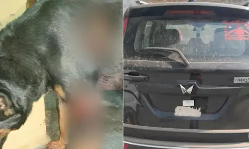 மகனைப் பார்த்து  குரைத்த நாயை 3 கி.மீ. காரில் கட்டி தரதரவென இழுத்துச் சென்ற தந்தை கைது