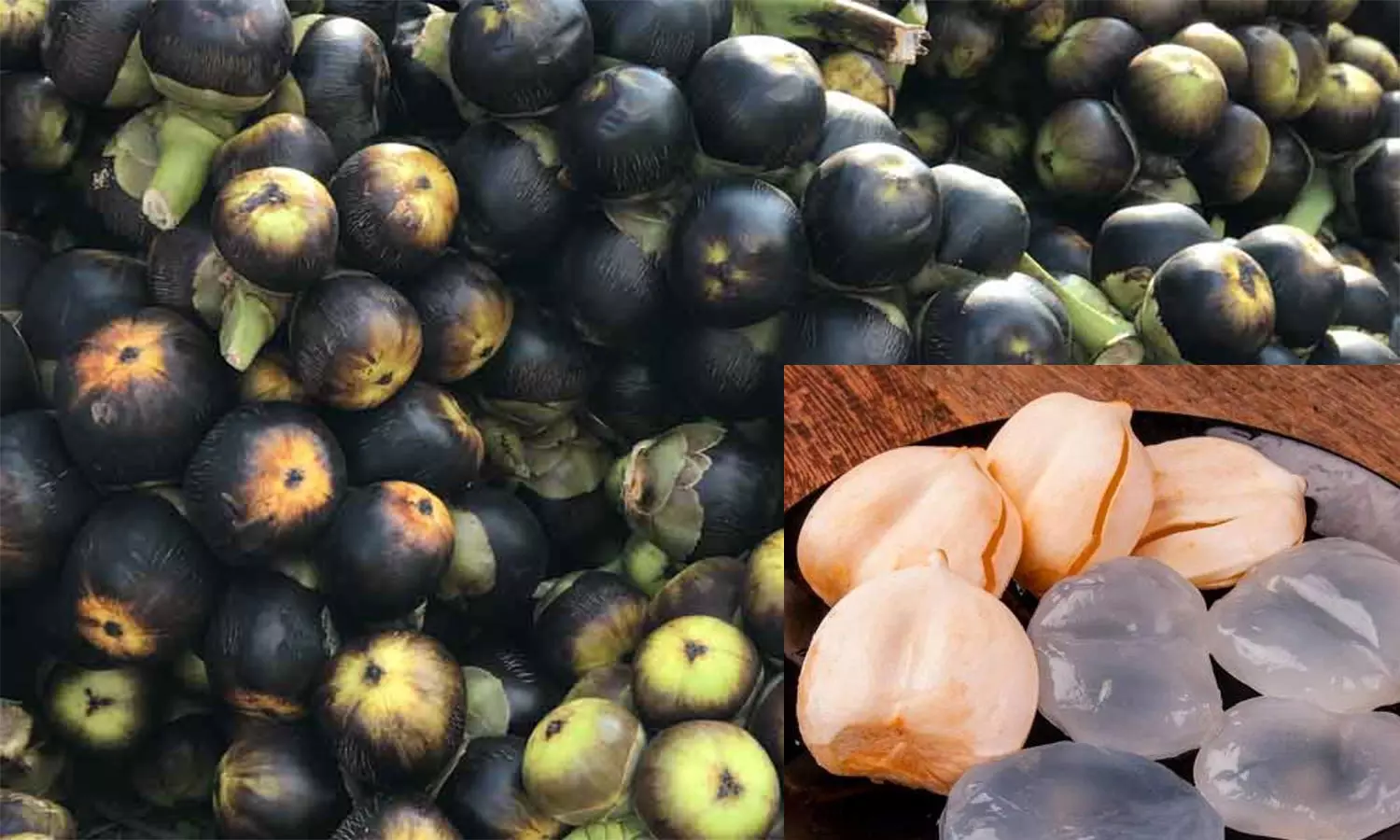 வெளிநாடுகளில் ஐஸ் ஆப்பிள் என்ற பெயரில் நுங்கு விற்பனை