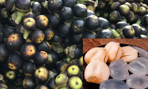 வெளிநாடுகளில் ஐஸ் ஆப்பிள் என்ற பெயரில் நுங்கு விற்பனை