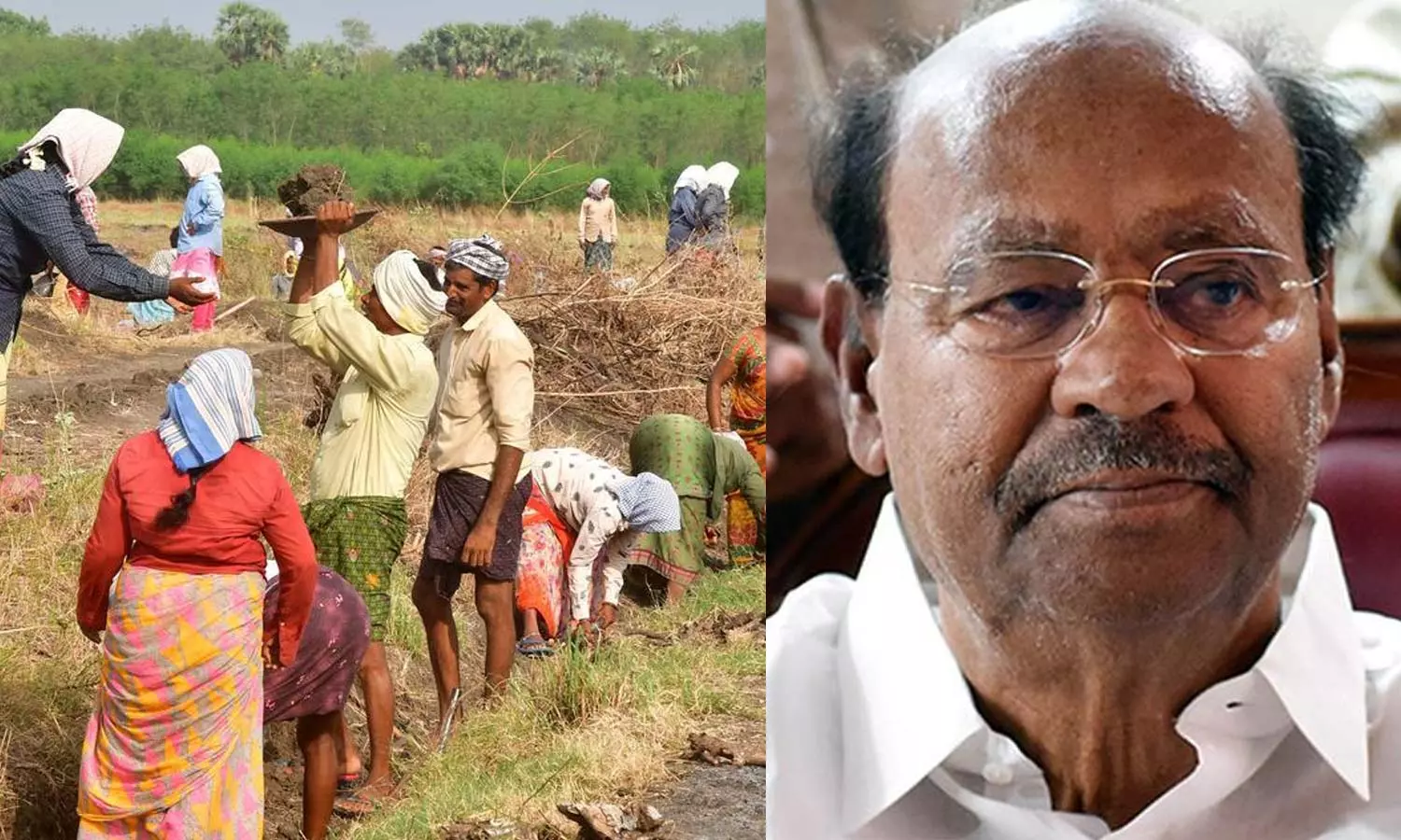 ஊரக வேலைத் திட்ட பணி நாட்களை மத்திய அரசு அதிகரிக்க வேண்டும்- ராமதாஸ் வலியுறுத்தல் ஊரக வேலைத் திட்ட பணி நாட்களை மத்திய அரசு அதிகரிக்க வேண்டும்- ராமதாஸ் வலியுறுத்தல்