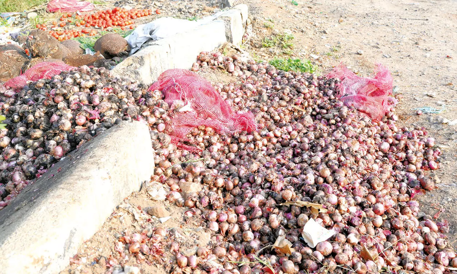 நொய்யல் ஆற்றில் கொட்டப்படும் பெரிய வெங்காயம்