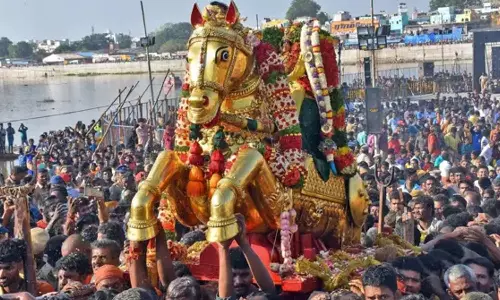 கள்ளழகர் ஆற்றில் இறங்கும் மே 12-ந்தேதி மதுரை மாவட்டத்திற்கு உள்ளூர் விடுமுறை: கலெக்டர் அறிவிப்பு