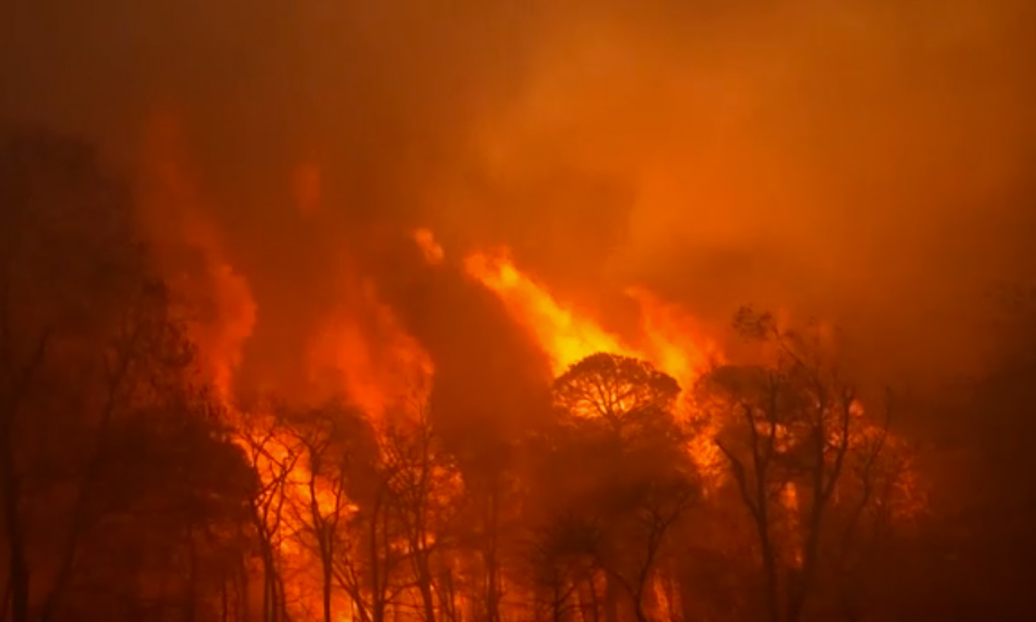 நியூ ஜெர்சியில் 20 ஆண்டில் இல்லாத பயங்கர காட்டுத்தீ: முக்கிய நெடுஞ்சாலைகள் மூடல் நியூ ஜெர்சியில் 20 ஆண்டில் இல்லாத பயங்கர காட்டுத்தீ: முக்கிய நெடுஞ்சாலைகள் மூடல்