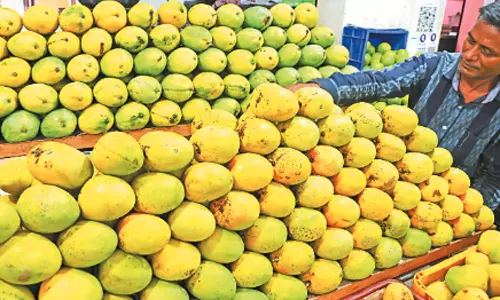 கோடையில் களைகட்டிய சீசன் - சென்னையில் மாம்பழம் விற்பனை அமோகம்