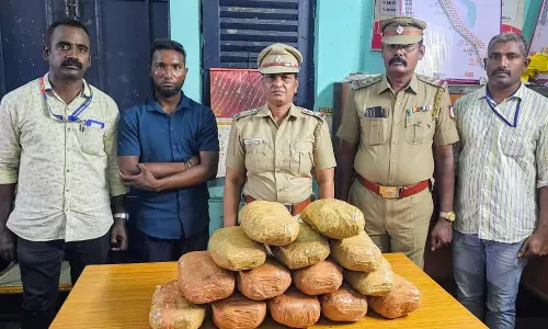 ஈரோடு வந்த ரெயிலில் 13 கிலோ கஞ்சா கடத்தி வந்த வட மாநில வாலிபர் கைது