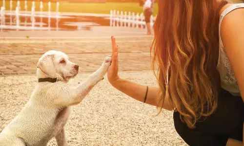 முழுமனம் என்பது என்ன?