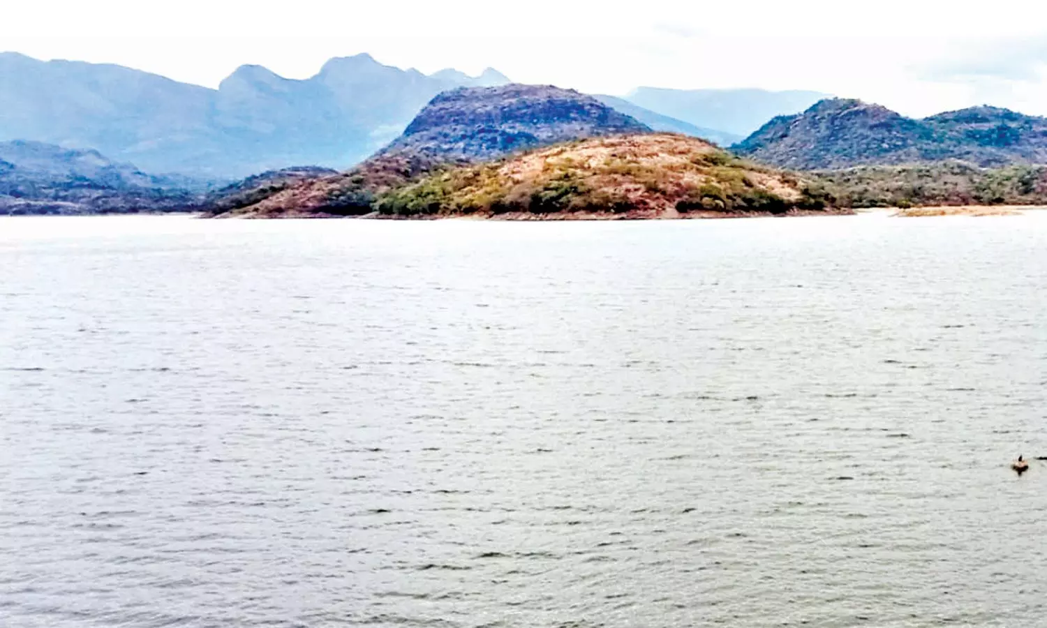 அமராவதி அணையில் சரியும் நீர்மட்டம்- குடிநீர் தட்டுப்பாடு ஏற்படும் அபாயம்