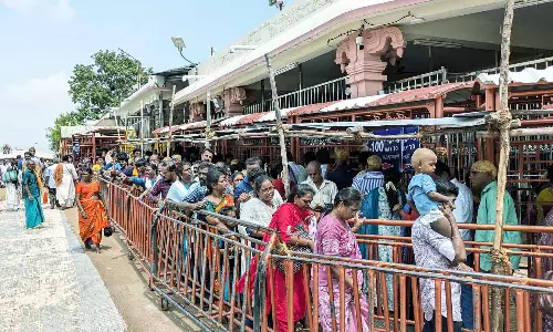 பழனியில் பக்தர்கள் வருகை அதிகரிப்பு- நீண்ட நேரம் காத்திருந்து சாமி தரிசனம்