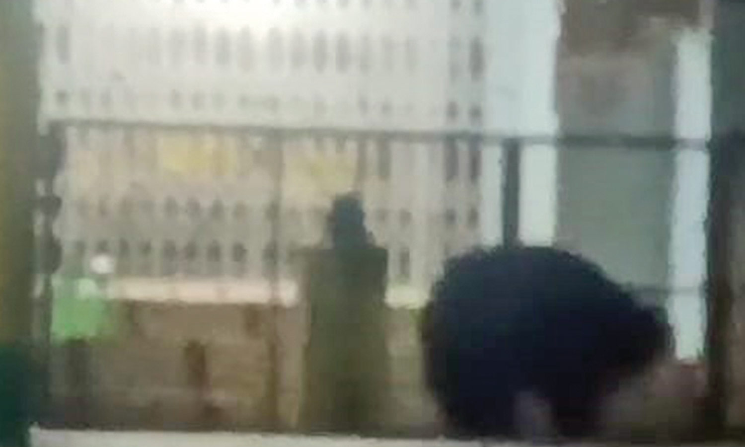 மணிமுத்தாறு அருகே கோவில் வளாகத்தில் சுற்றித்திரிந்த கரடி- பொதுமக்கள் பீதி