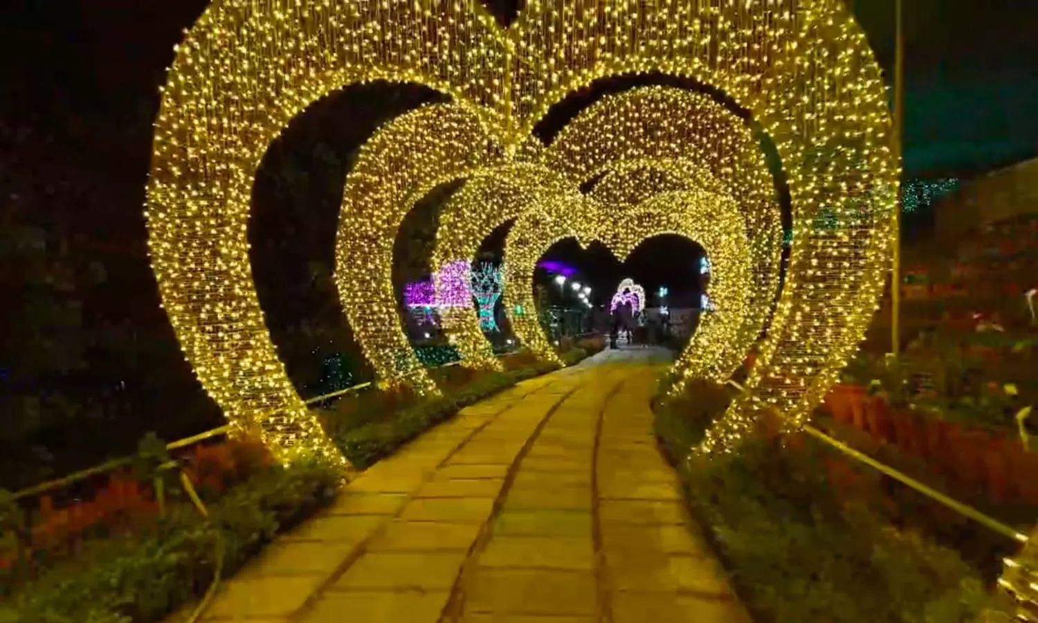 மூணாறு மலர் கண்காட்சிக்கு அனைத்து ஏற்பாடுகளும் தீவிரம் மூணாறு மலர் கண்காட்சிக்கு அனைத்து ஏற்பாடுகளும் தீவிரம்