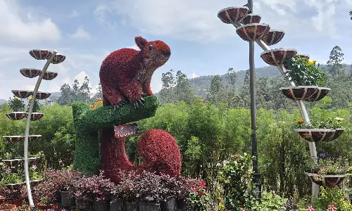 மூணாறு மலர் கண்காட்சிக்கு அனைத்து ஏற்பாடுகளும் தீவிரம்