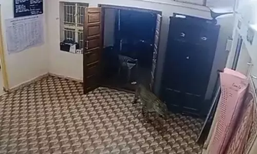 ஊட்டி அருகே போலீஸ் நிலையத்திற்குள் புகுந்த சிறுத்தை: போலீசார் அதிர்ச்சி