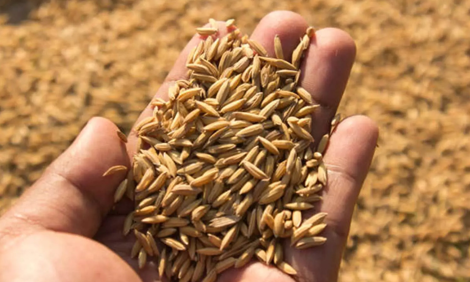 அட்சய திருதியை நாளில் செய்ய வேண்டிய சுப காரியங்கள்