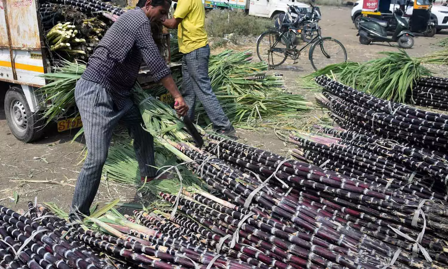 கரும்புக்கு குவிண்டால் ஒன்றுக்கு ரூ.355 ஆதாய விலை- மத்திய மந்திரிசபை ஒப்புதல்