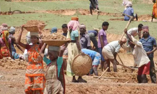 100 நாள் வேலைத் திட்டத்தில் தமிழ்நாட்டுக்கான நிதியை விடுவித்தது மத்திய அரசு