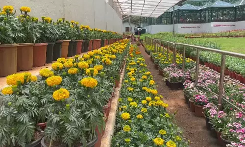 கோடை சீசனை முன்னிட்டு 35 ஆயிரம் தொட்டிகளில் பூத்து குலுங்கும் மலர்கள்: சுற்றுலா பயணிகள் உற்சாகம்