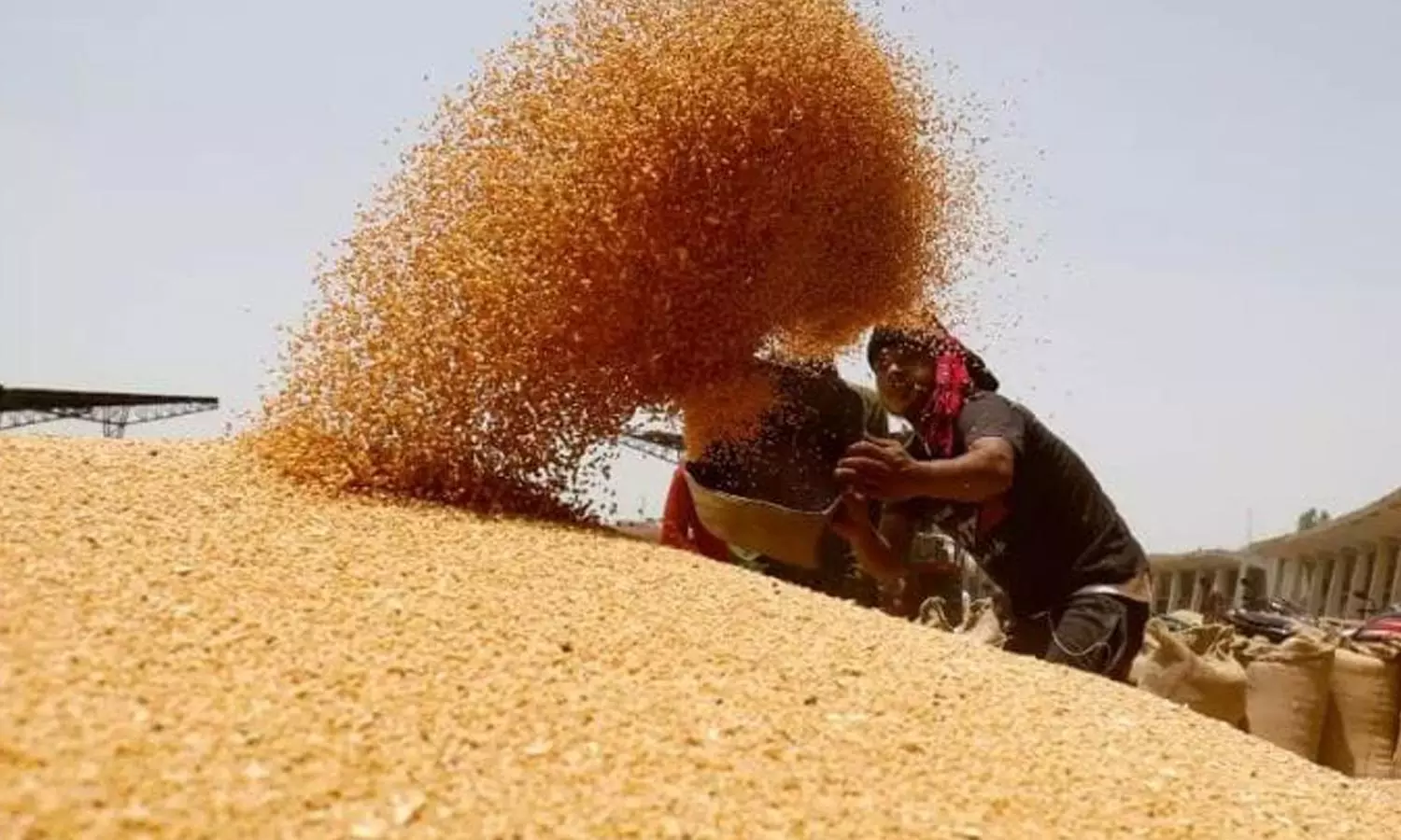 உணவு பொருட்களை இருப்பு வைத்துக்கொள்ளுங்கள்- எல்லையில் உள்ள மக்களுக்கு பாகிஸ்தான் அறிவுறுத்தல் உணவு பொருட்களை இருப்பு வைத்துக்கொள்ளுங்கள்- எல்லையில் உள்ள மக்களுக்கு பாகிஸ்தான் அறிவுறுத்தல்