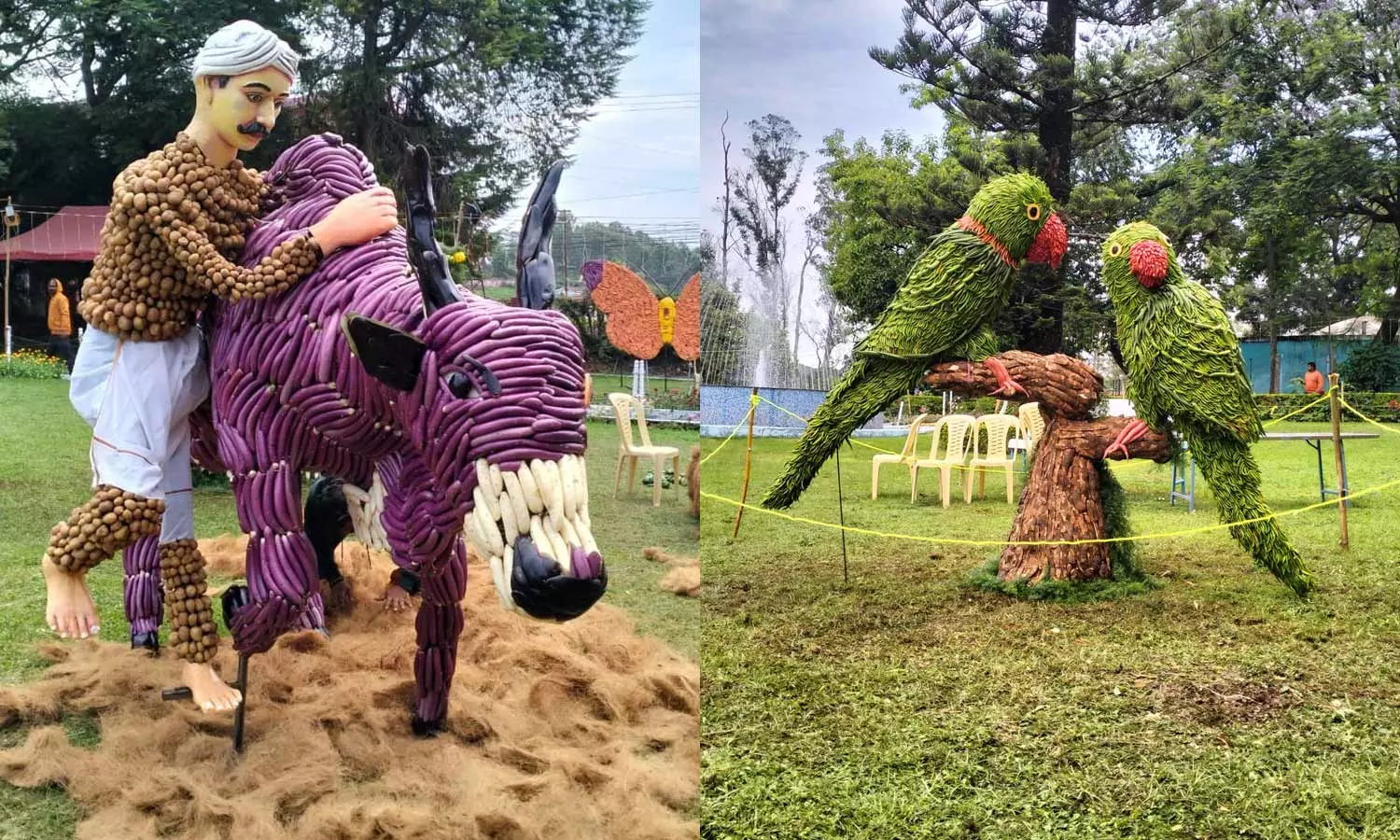 நீலகிரியில் காய்கறி கண்காட்சியுடன் கோடை விழா தொடங்கியது