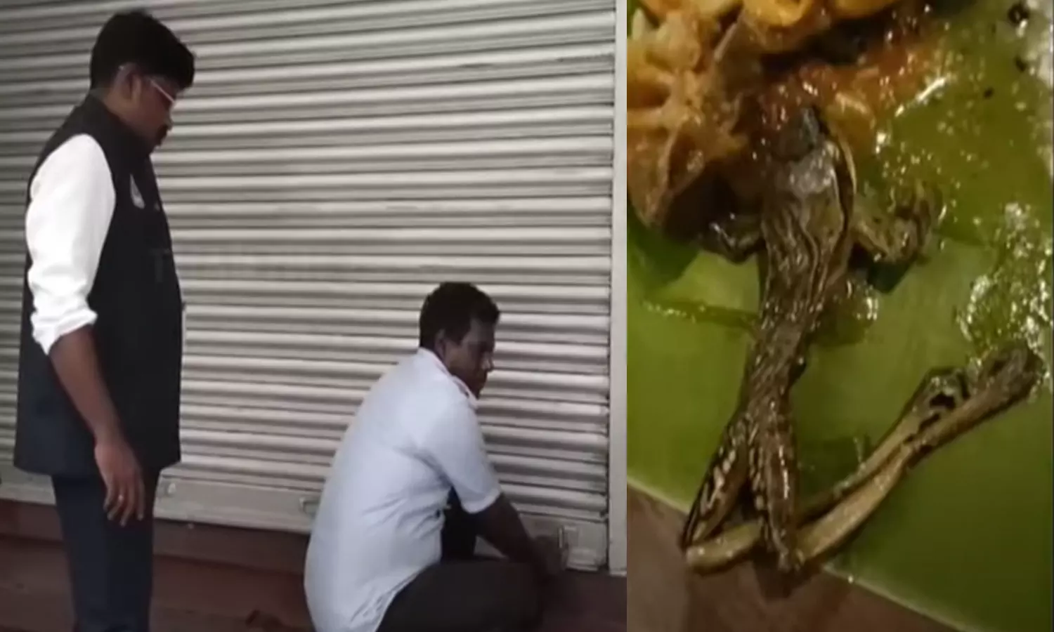 உணவில் தேரை- பூந்தமல்லியில் உள்ள பிரபல ஓட்டலுக்கு சீல்